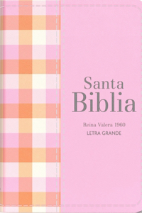 Biblia Rvr 1960 Compacta Símil Piel Cuadros Rosa Claro (Bible Rvr 1960 Compact Size Leatherlike Light Pink Checked Pattern (Spanish Edition)