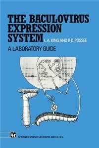 Baculovirus Expression System