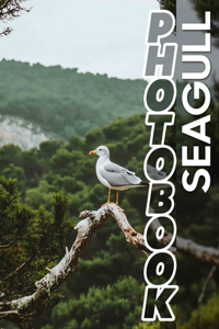 Seagull Photo Book