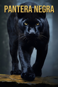Pantera negra