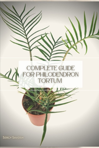 Complete Guide for Philodendron Tortum