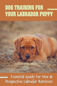 Dog Training For Your Labrador Puppy
