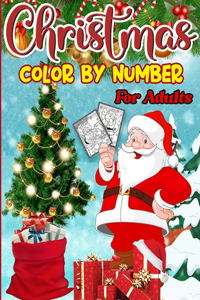 Christmas Color By Number For Adults