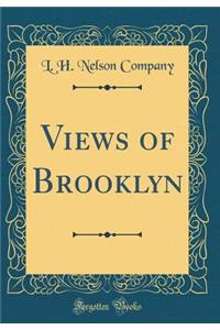 Views of Brooklyn (Classic Reprint)