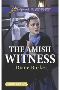 The Amish Witness