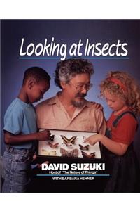 Looking at Insects