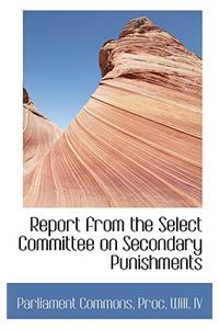 Report from the Select Committee on Secondary Punishments