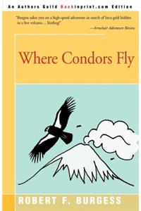 Where Condors Fly