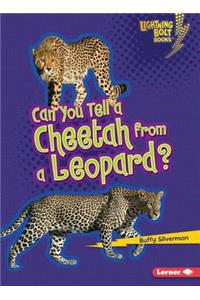 Can You Tell a Cheetah from a Leopard?