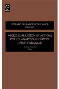 Micro-Simulation in Action