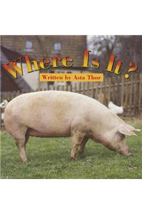 Ready Readers, Stage Zero, Book 13, Wher Is It?, Single Copy