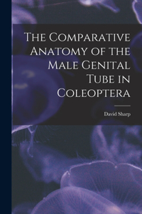 Comparative Anatomy of the Male Genital Tube in Coleoptera