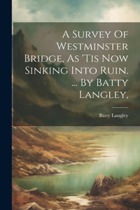 Survey Of Westminster Bridge, As 'tis Now Sinking Into Ruin. ... By Batty Langley,