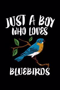Just A Boy Who Loves Bluebirds