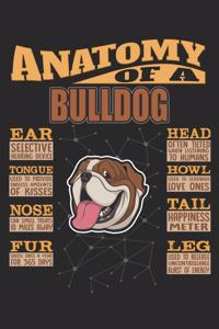 Anatomy Of A Bulldog