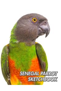 Senegal Parrot Sketchbook
