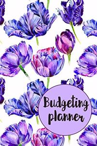 Budgeting Planner