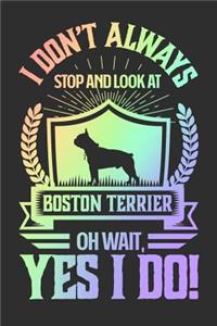 I Don't Always Stop and Look At Boston Terrier OH Wait, Yes I Do!