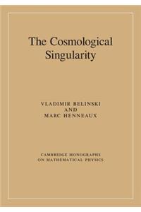 Cosmological Singularity