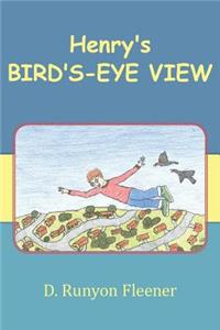 Henry's Bird's-Eye View