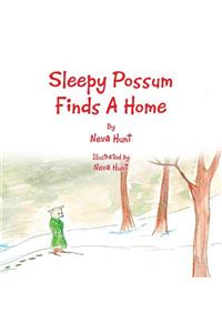 Sleepy Possum Finds A Home