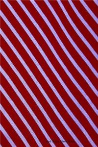 Red Stripes Blank Book