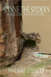 Spinne the Spider's Indoor Adventure