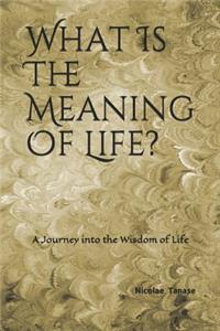 What Is the Meaning of Life?