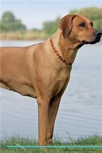Rhodesian Ridgeback Affirmations Workbook Rhodesian Ridgeback Presents
