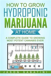 How to Grow Hydroponic Marijuana At Home
