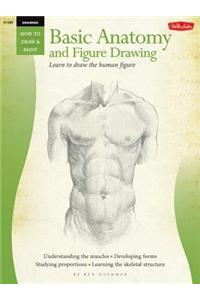 Basic Anatomy And Figure Drawing