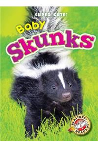 Baby Skunks