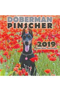 Doberman Pinscher 2019 Mini Wall Calendar