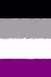Asexual Pride Flag Journal