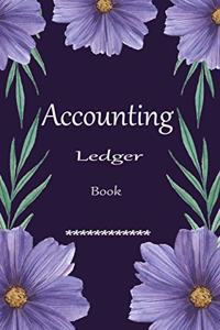 Accounting Ledger