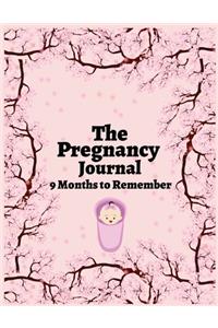 The pregnancy journal 9 months to remember