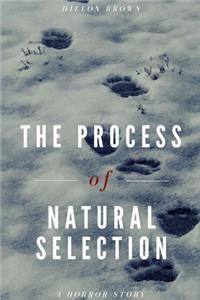 Process of Natural Selection