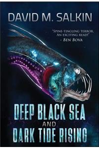 Deep Black Sea and Dark Tide Rising