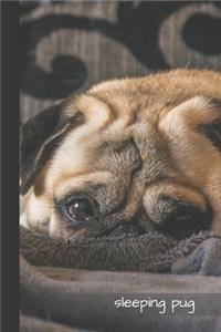 Sleeping Pug