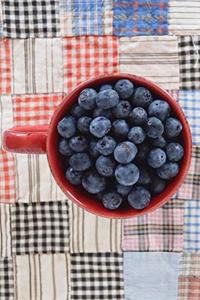 Blueberries in a Red Cup Journal