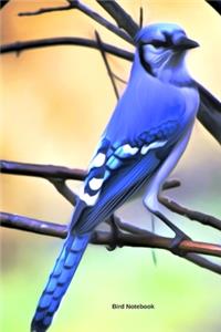 Bird Notebook