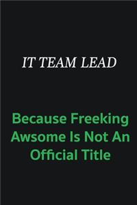 IT team lead because freeking awsome is not an offical title