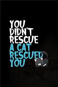 You Didn't Rescue A Cat Rescued You