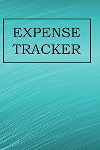 Expense Tracker: daily spending log, budget workbook