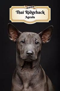2020 Thai Ridgeback Agenda