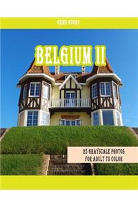 Belgium II: : 25 Grayscale Photos For Adult To Color (Grayscale Adult Coloring Book of Cities, Coloring Books for Grown-Ups)