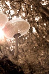 Forest Mushrooms Notebook
