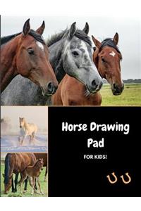 Horse Drawing Pad for Kids