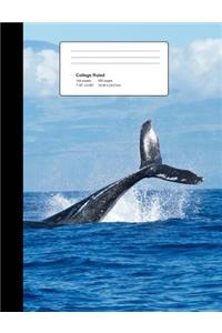 Composition Notebook College Ruled - 100 Sheets, 200 Pages