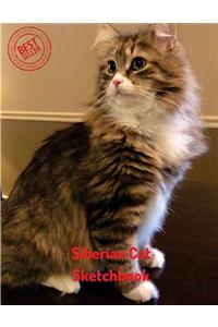 Siberian Cat Sketchbook